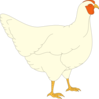 Simple White Chicken Clip Art